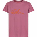 the new, kjole, ss21, nyheder,
