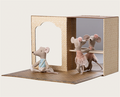 Ballet mice in dance studio, Little sister and brother Regular price