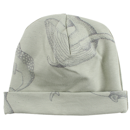 Fixoni Elemental baby hue Green Tea