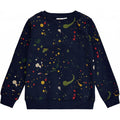 the new, dansk design, sweatshirt, print, sjovt print, grafisk, drengebluse,