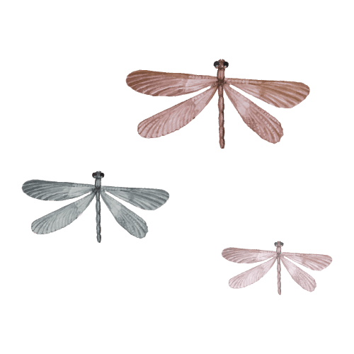 Thats Mine Wall Stickers Dragonflies – 3 stk.