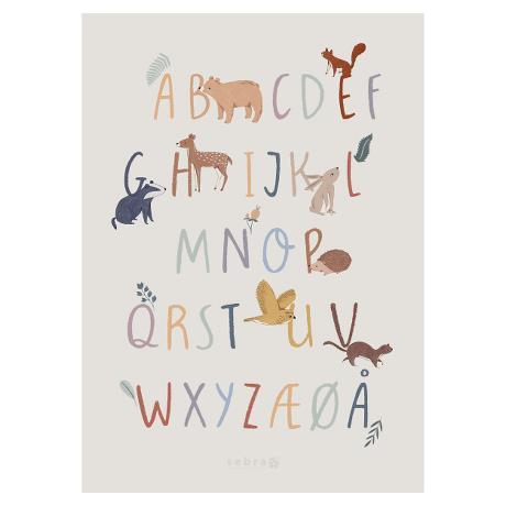 Sebra Plakat Daydreamer