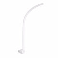 Sebra uro holder i træ Classic White edition