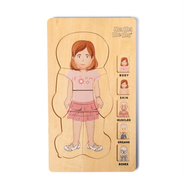 puslespil, puzzle, spil, anatomi, fysiologi, pige