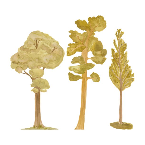 Thats Mine Wall Stickers Tree package