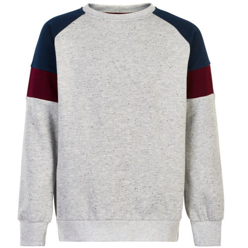 sweatshirt, joggingbluse, langærmet, lange ærmer, drengebluse, bluse, dreng, tiger, print, navy, rød