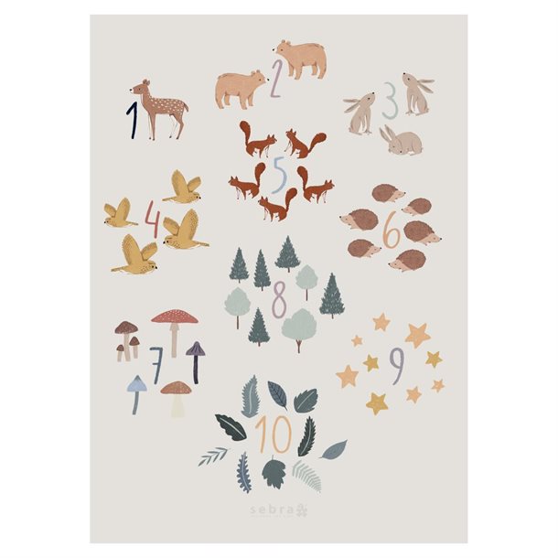 Sebra Plakat Daydreamer