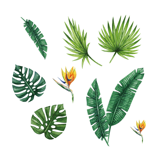 Thats Mine Wall Stickers  Velkommen til junglen